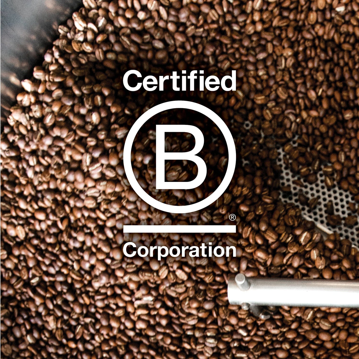 Coffee for the Future: Becoming B Corp Certified