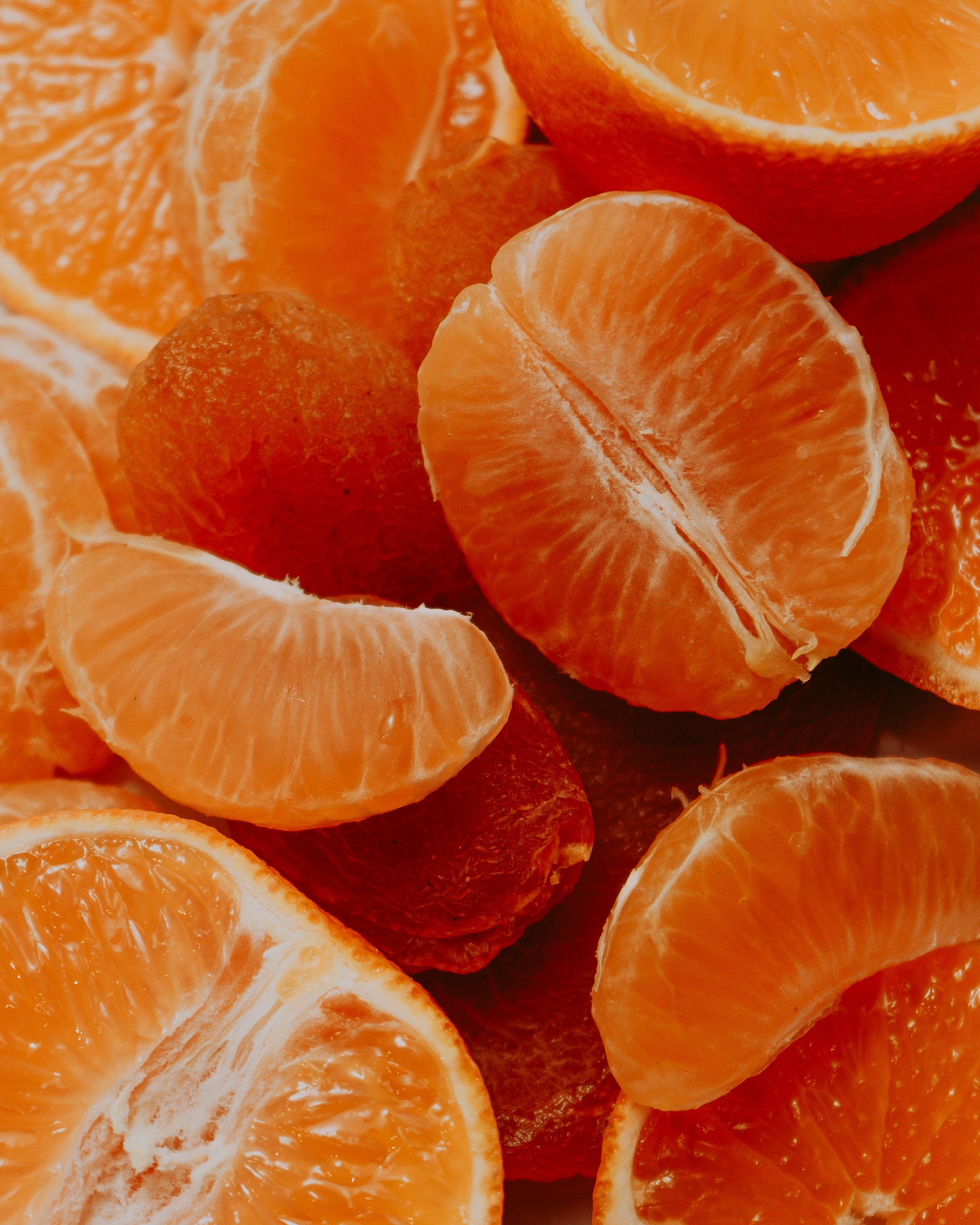 Early Bird / Costa Rica