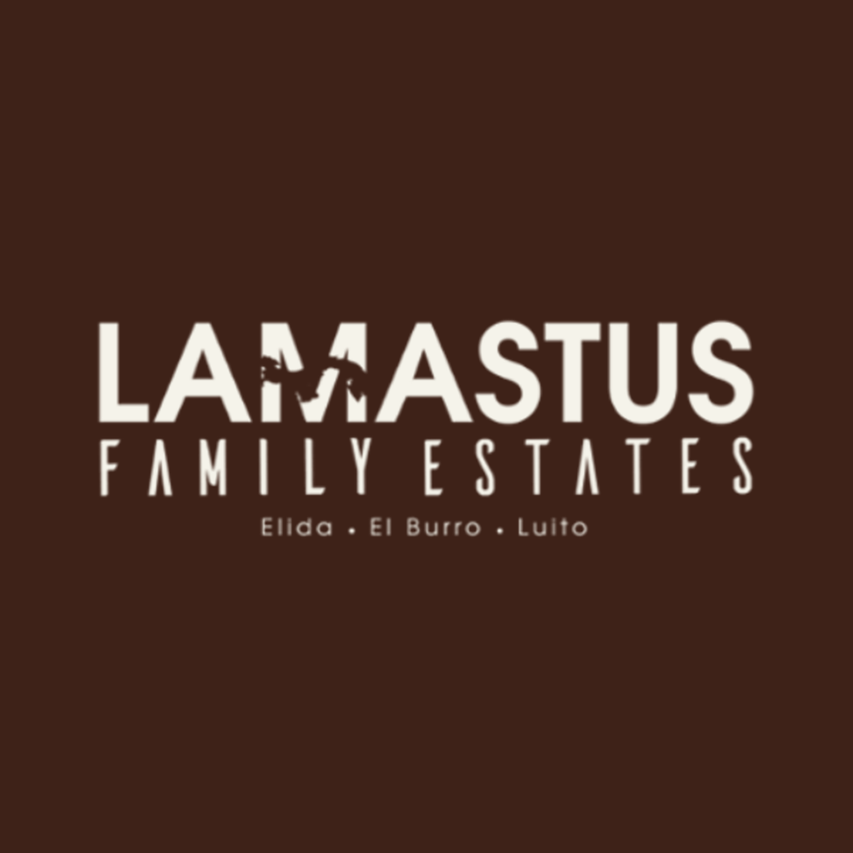 Photo of Lamastus Family Estates Elida Symmetrical GW ASD RFI Aguacate Geisha 100g